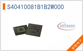 S40410081B1B2W000