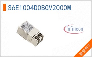 S6E1004D0BGV2000M