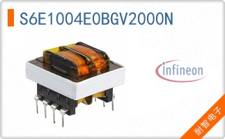 S6E1004E0BGV2000N