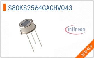 S80KS2564GACHV043