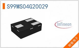 S99MS04G20029