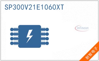 SP300V21E1060XT