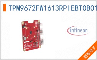 TPM9672FW1613RPIEBTOBO1