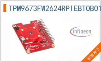 TPM9673FW2624RPIEBTOBO1